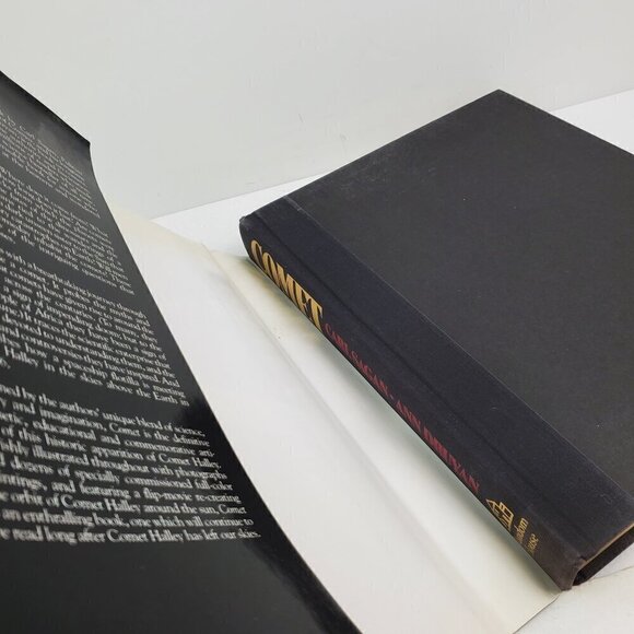 Comet First Edition Book by Carl Sagan, Ann Druyan VTG 1985 Hardcover HCDJ - Picture 7 of 11